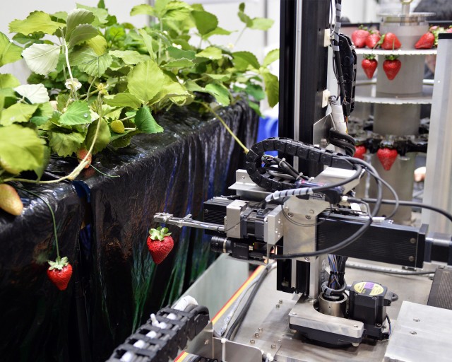 automated-farming